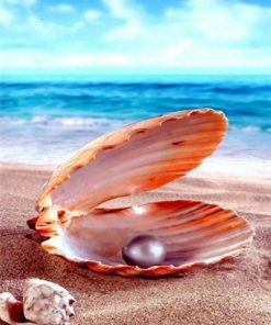 Pearls on the Beach - Seascape Painting By Numbers