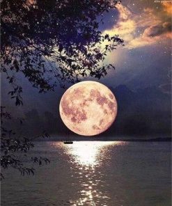 Beautiful Full Moon on Lake - Landscape Painting By Numbers