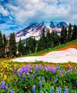 Ice In The Spring - Landscape Painting By Numbers