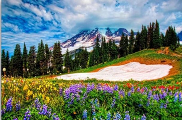 Ice In The Spring - Landscape Painting By Numbers