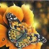 Autumn Butterfly Paint By Numbers