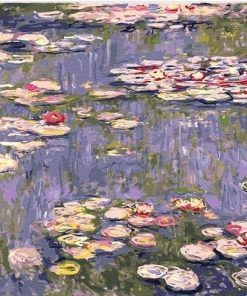 Water Lilies Pond Claude Monet - Landscape Painting By Numbers