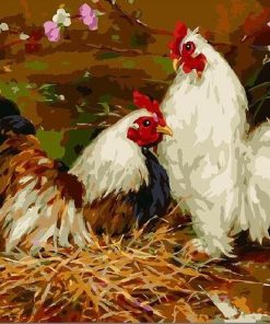 Two Chickens - Birds Painting By Numbers