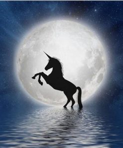 Unicorn Full Moon - Animals Painting By Numbers