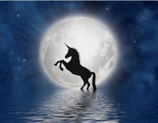 Unicorn Full Moon - Animals Painting By Numbers