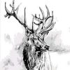 Monochrome Deer Painting By Numbers