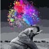 A fun Elephant - Animals Painting By Numbers