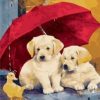 Dogs Umbrella Paint By Numbers