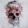 Floral Skull Paint By Numbers