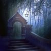 Moon Door In The Forest - Landscape Painting By Numbers