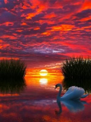 Sunset Reflection on Lake - Landscape Painting By Numbers