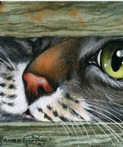 Cat Hiding Under Door - Animals Painting By Numbers