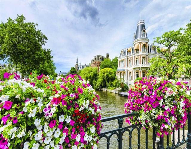 Peinture-par-num-ros-cadres-coloriage-par-num-ros-d-cor-la-maison-photos-paysage-arbre-1.jpg_640x640_5-1