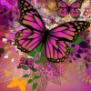 Pink Butterfly Paint By Numbers