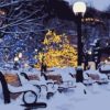 Snowy Bench Paint By Numbers