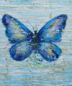 The Common Blue Butterfly Paint By Numbers