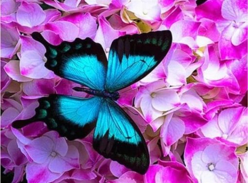 Blue Butterfly On Roses Paint By Numbers