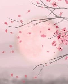 Moon And Cherry Blossom Paint By Numbers