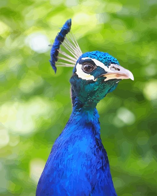 Blue Peacock Portrait Paint By Numbers