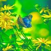 Butterfly Enjoying Nature Paint By Numbers