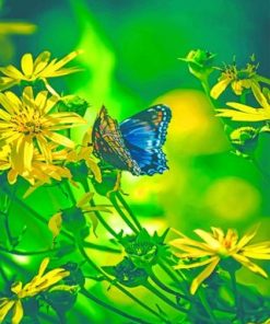 Butterfly Enjoying Nature Paint By Numbers