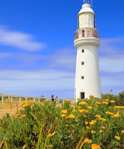 Cape Otway Lightstation Lighthouse Australia Paint By Numbers