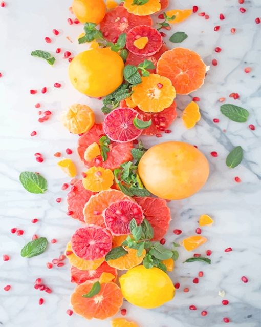 Citrus Pomegranate Salad Paint By Numbers