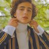 Classy Timothee Chalamet Paint By Numbers