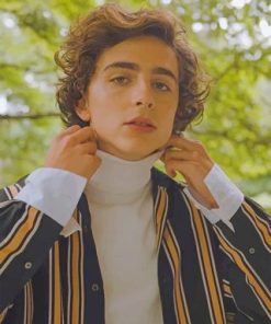 Classy Timothee Chalamet Paint By Numbers