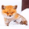 Cute Baby Fox Paint By Numbers