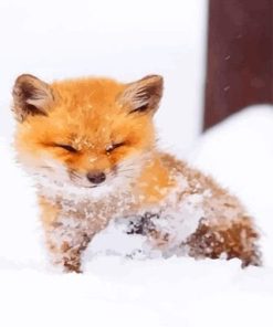 Cute Baby Fox Paint By Numbers