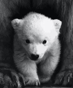 Cute Little White Bear Paint By Numbers