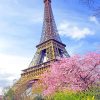 Eiffel Tower In Spring Paint By Numbers