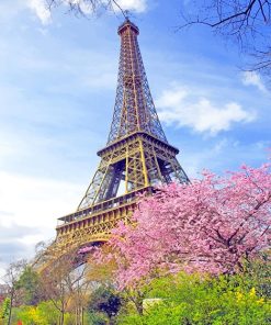 Eiffel Tower In Spring Paint By Numbers