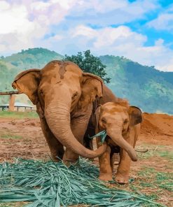 Elephants In Thailand Paint By Numbers