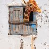 Giraffe Looking Through Window Paint By Numbers