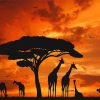 Giraffes Silhouette Sunset Paint By Numbers