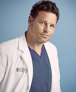 Greys Anatomy Alex Karev Paint By Numbers