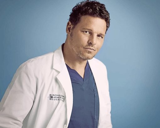 Greys Anatomy Alex Karev Paint By Numbers