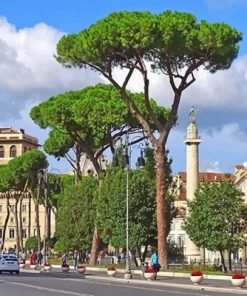 Italy Rome Antique Buildings Paint By Numbers