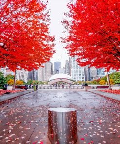 Millennium Park Chicago Paint By Numbers