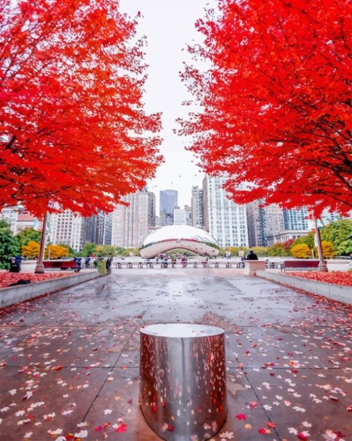 Millennium Park Chicago Paint By Numbers