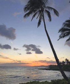 Palm Trees Paint By Numbers