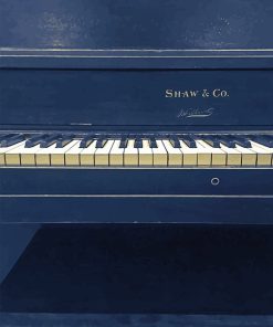 Piano Shaw and Co Paint By Numbers