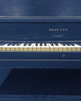 Piano Shaw and Co Paint By Numbers