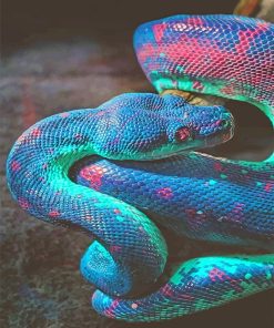 Rainbow Shimmering Snake Paint By Numbers