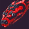 Red And Black Python Paint By Numbers