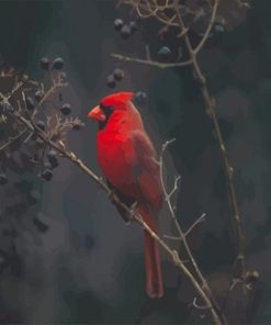 Red Cardinal Bird Paint By Numbers