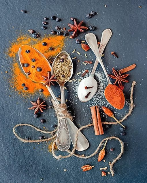 Spices Creative Photography Paint By Numbers