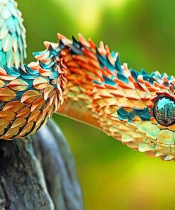 Spiny Bush Snake Paint By Numbers